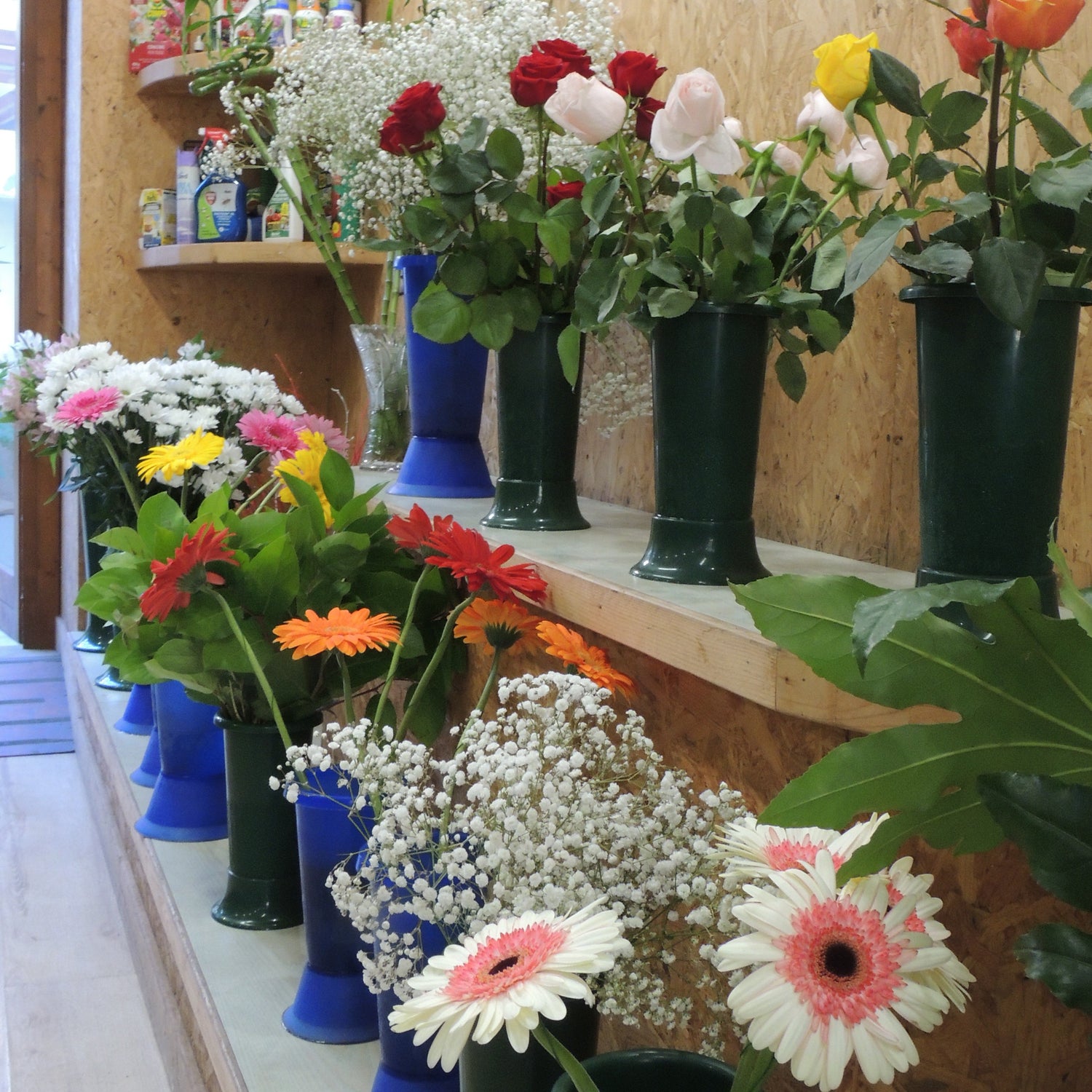 Fiori recisi