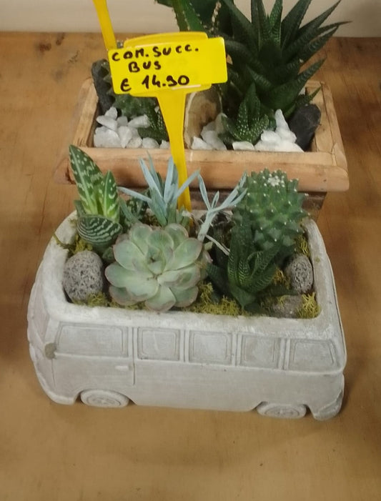 Composizione di Piante Grasse in Vaso Furgoncino