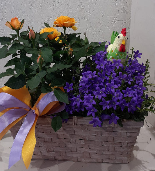 Cesto Pasquale con Roselline Gialle e Campanula Viola