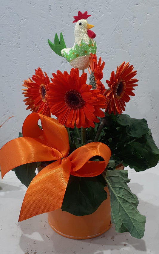 Piantina di Gerbera Arancione con Decorazione Pasquale